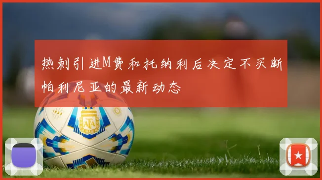 热刺引进M费和托纳利后决定不买断帕利尼亚的最新动态