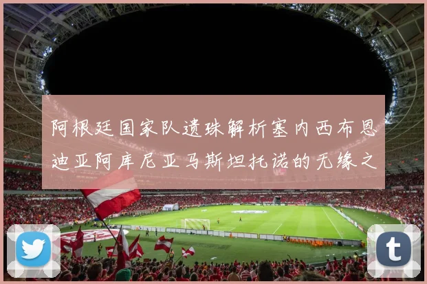 阿根廷国家队遗珠解析塞内西布恩迪亚阿库尼亚马斯坦托诺的无缘之路